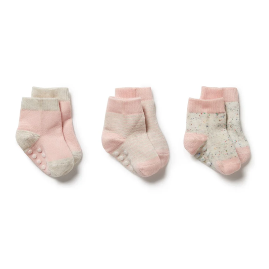 Wilson and Frenchie - Socks (3 Pack)