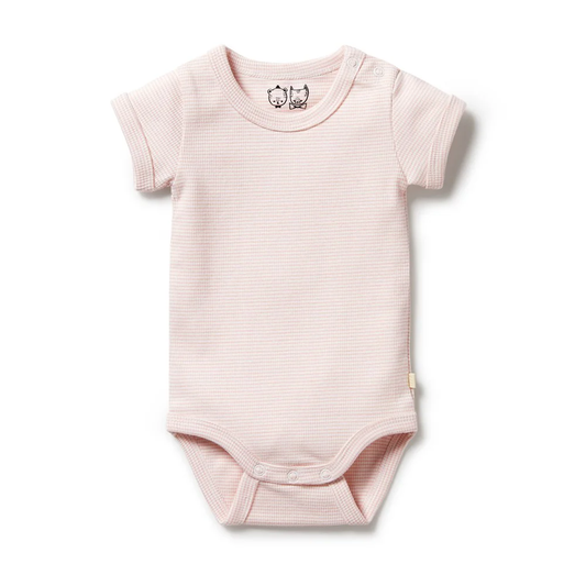 Organic Stripe Bodysuit
