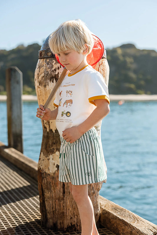 Artie Shorts Seaside Stripe