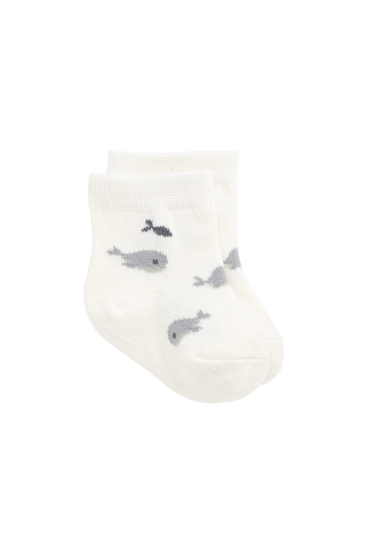 Whale Sock